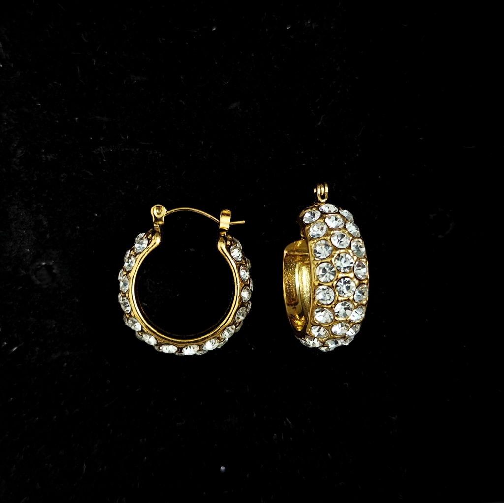 Earring 6