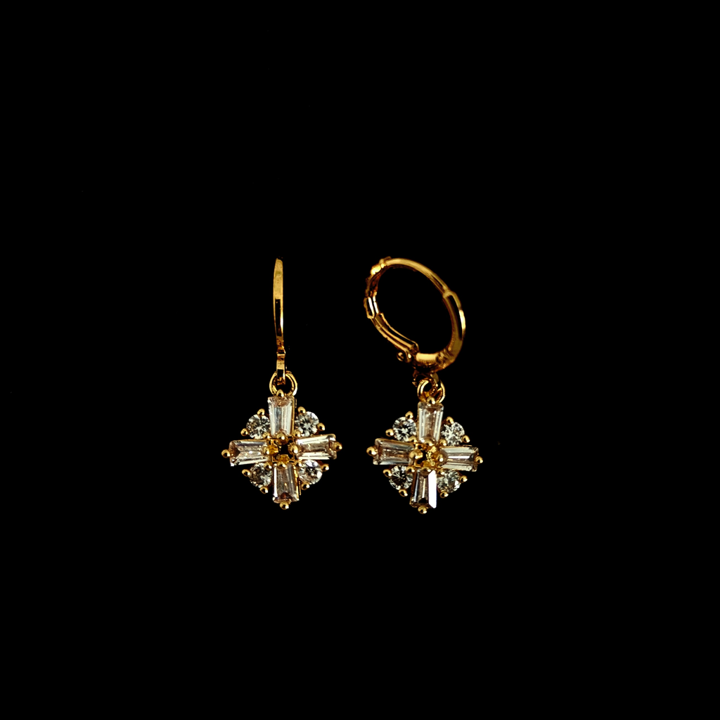 Earring 29