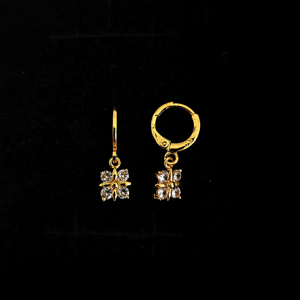 Earring 30